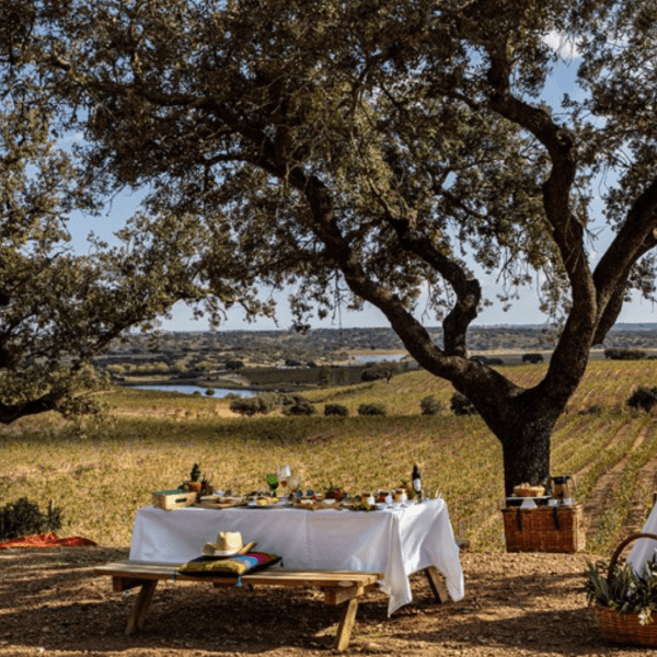 Explore the breathtaking outside views of Herdade do Sobroso, where the harmony of nature and vineyards creates a visual symphony. Marvel at the rolling hills and expansive landscapes that surround our estate, inviting you to a serene escape. The lush greenery, sprawling vineyards, and azure skies set the stage for an unforgettable experience. Discover the beauty that awaits you beyond every corner at Herdade do Sobroso.